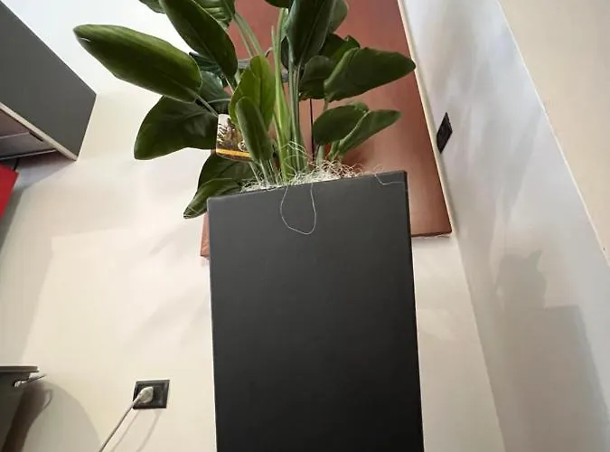 Effealatapartments - Del Duca * Senigallia