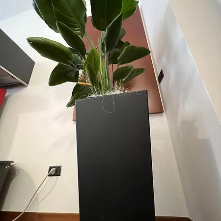 Effealatapartments - Del Duca * 西尼加利亚