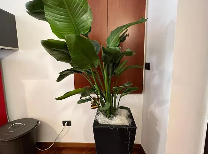 Effealatapartments - Del Duca Lägenhet Senigallia